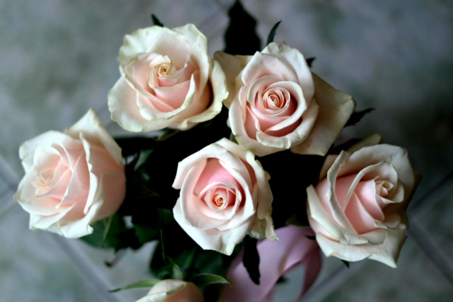 Premiers ateliers floraux en 2019