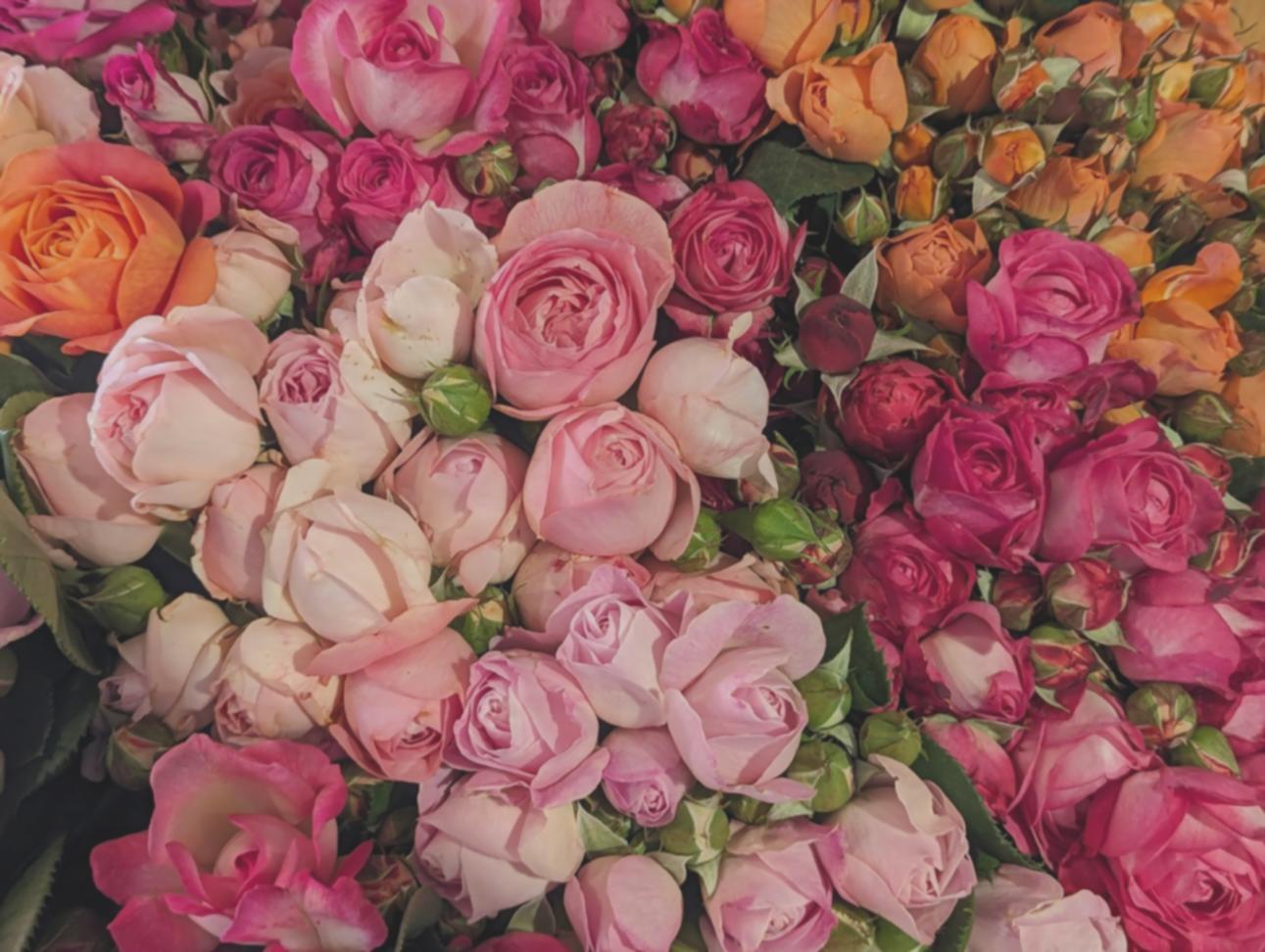 Espace de travail floral professionnel avec compositions élégantes